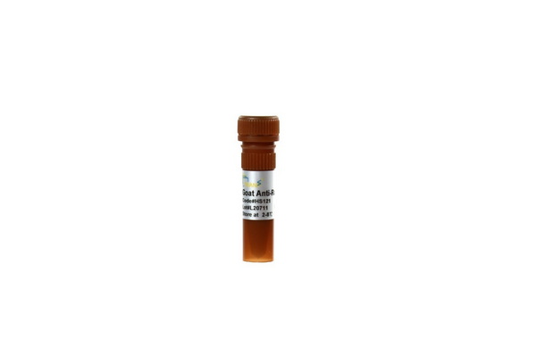 Антитела вторичные козы к IgG кролика (H+L) ProteinFind, PE, 100 мкл