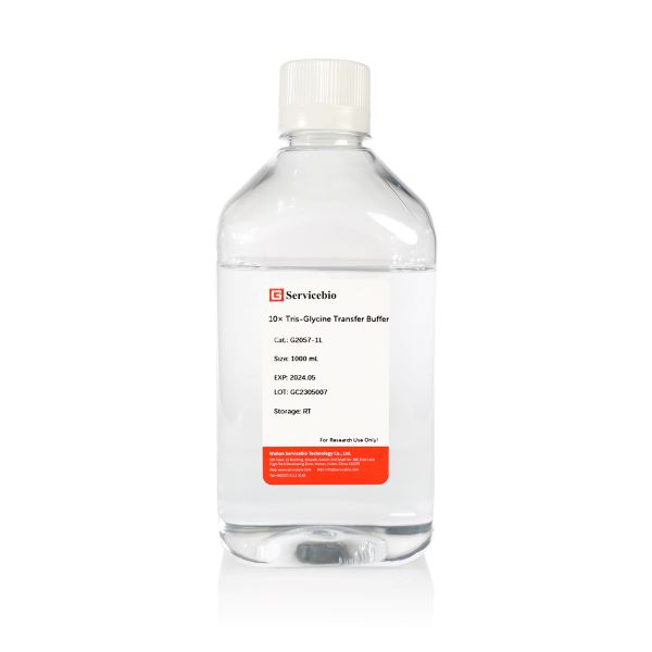 Буфер переноса для электрофореза SDS-PAGE, 10X, 1 л