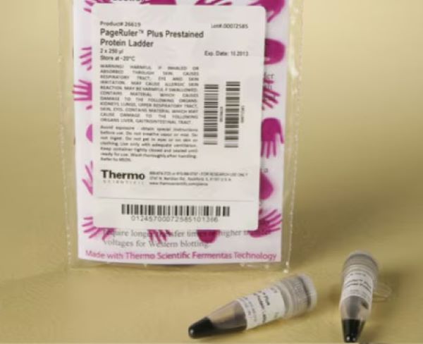 Маркеры молекулярной массы белков PageRuler Plus, окрашенные, 10 - 250 кДа, 2 x 250 мкл