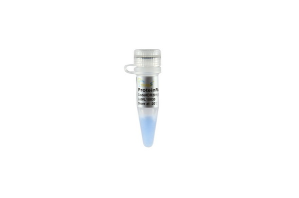 Маркеры молекулярной массы белков ProteinRuler II, неокрашенные, 12 - 120 кДа, 250 мкл