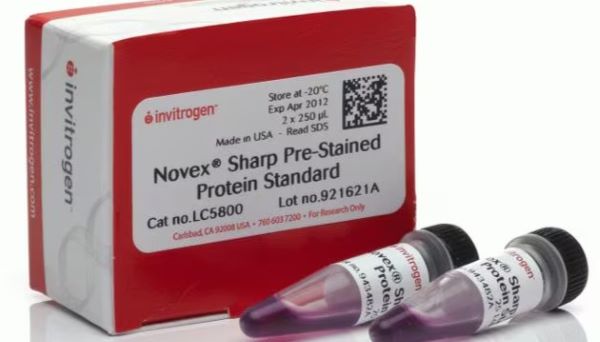 Маркеры молекулярной массы белков Novex Sharp, окрашенные, 3.5 - 260 кДа, 2 х 250 мкл