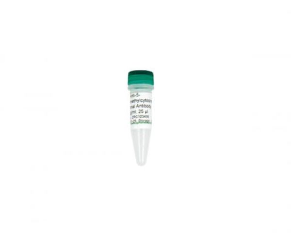 Антитела к 5-гидроксиметилцитозину (5hmC) Anti-5-Hydroxymethylcytosine, большая фасовка, 200 мкг