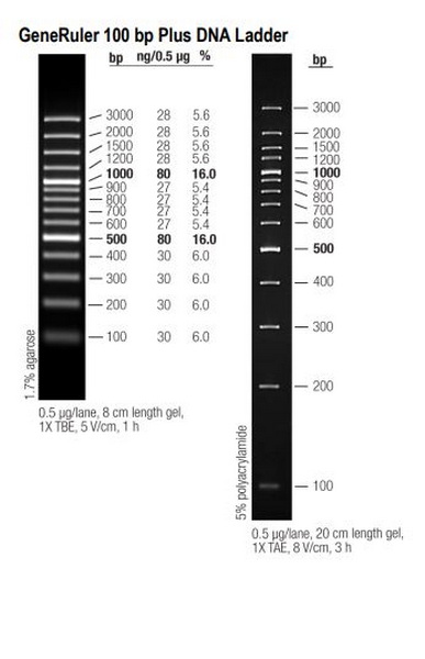 Маркеры молекулярной массы ДНК, 100-3000 п.о., GeneRuler 100 bp Plus DNA (14 фрагментов), 50 мкг