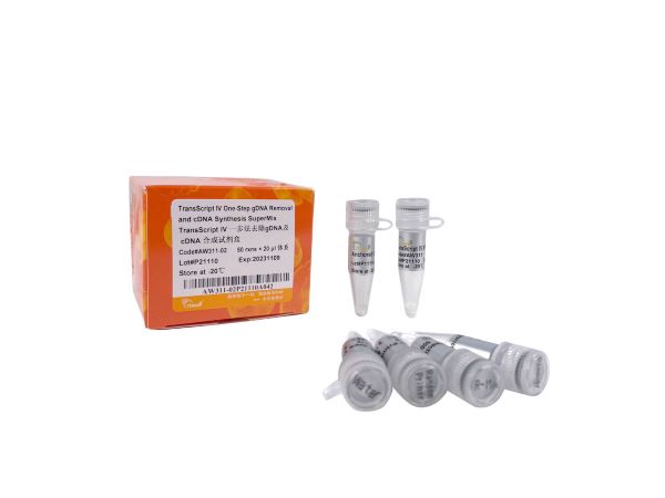 Обратная транскриптаза TransScript IV Reverse Transcriptase, 100 реакций