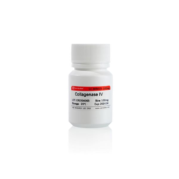 Коллагеназа тип IV из Clostridium histolyticum, активность ≥ 160 CDU/мг, CAS 9001-12-1, 100 мг