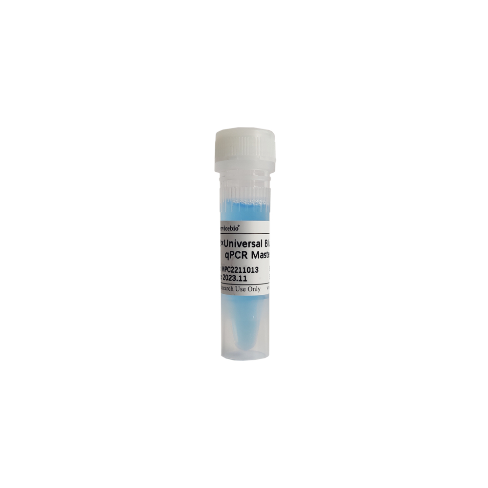 Мастер-микс для количественной ПЦР Universal Blue Probe, 2х, 1 мл