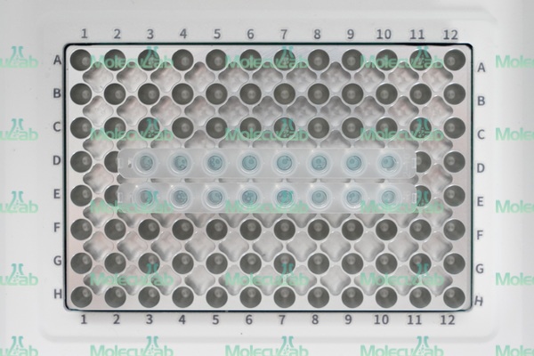 Амплификатор, 96 x 0.2 мл, c градиентом, скор. нагр. 3.5°C/сек, охл. 5.0°C/сек