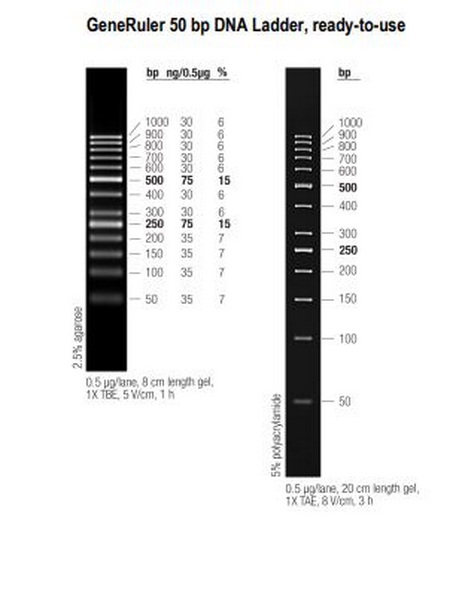 Маркеры молекулярной массы ДНК, 50-1000 п.о., GeneRuler 50, гот. к исп. (13 фр.), 50 мкг