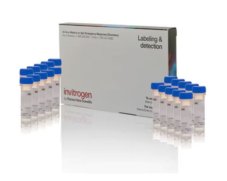 Кальцеиновый зеленый, AM, 20 x 50 мкг