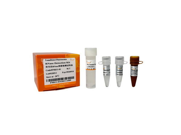 Набор обнаружения RNase TransDetect Fluorescence RNase Detection Kit, 480 T