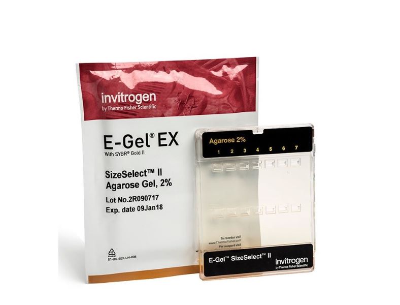 Гели агарозные E-Gel SizeSelect II, 2%, 10 шт/упак