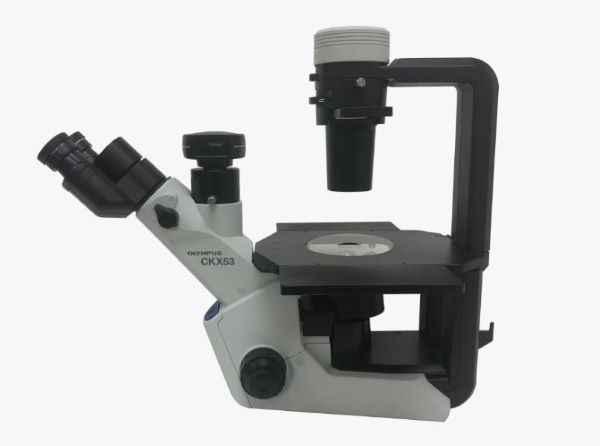 Микроскоп инвертированный Olympus CKX для лабораторных исследований,с принадлежностями, биологич