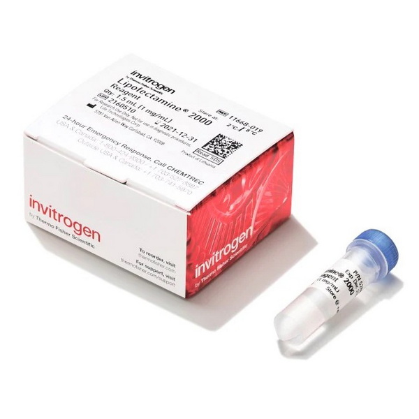 Трансфекционный реагент Lipofectamine 2000, 1.5 мл