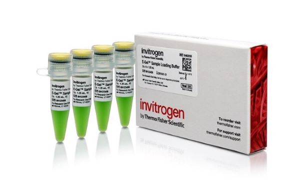 Буфер для загрузки образцов E-Gel, 1X, 4 х 1.25 мл