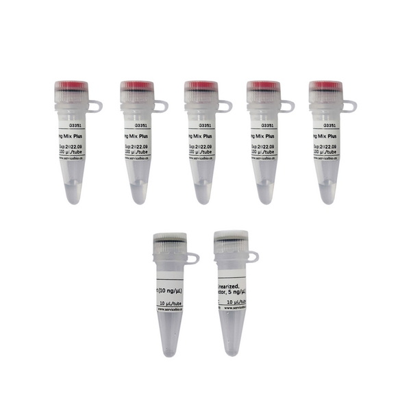 Смесь для клонирования In-Fusion Cloning Mix Plus 2-кратная, 100 реакций