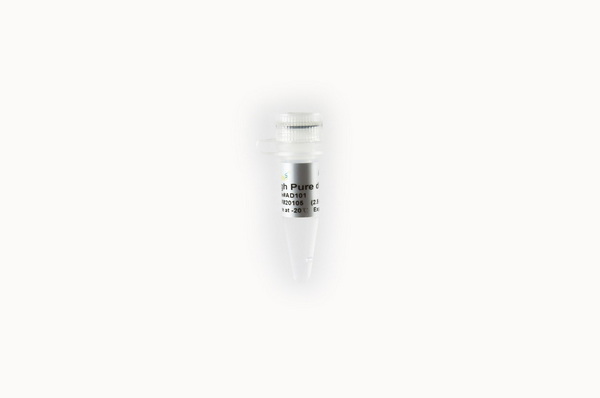 Нуклеотиды High Pure dNTPs, 2.5 мМ, 1 мл