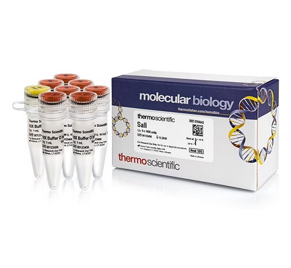 Эндонуклеаза рестрикции SalI, 10 ед/мкл, 5 x 1500 единиц