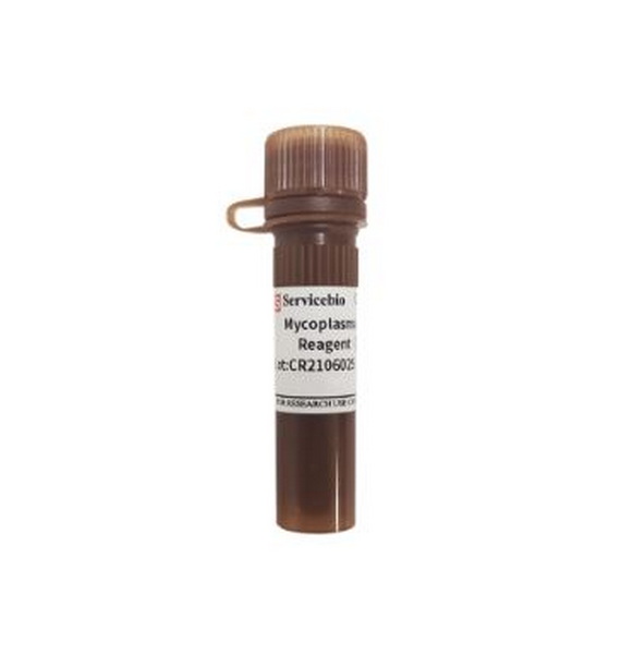 Реагент для удаления микоплазмоза, 1000x, 1 мл
