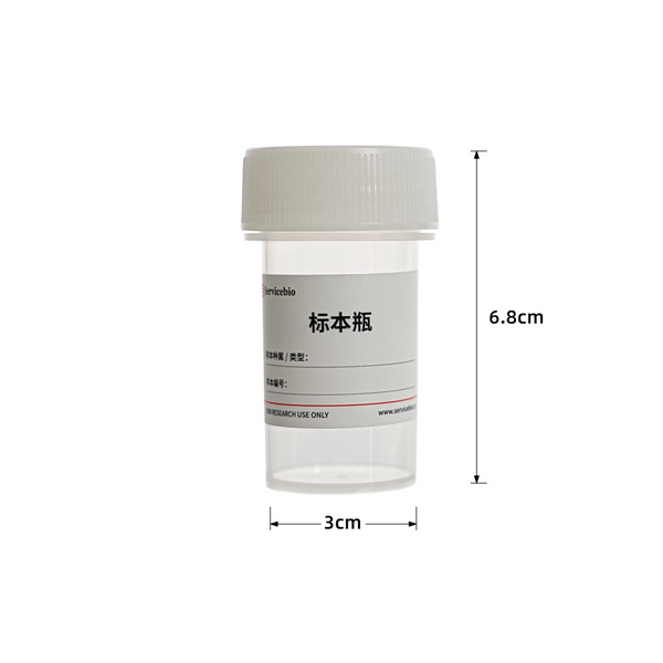 Контейнер для сбора, хранения образцов, PP, крышка HDPE, 40 мл, 500 шт/кор