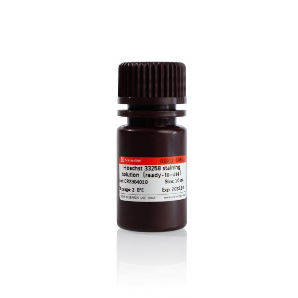 Краситель Hoechst 33258, раствор 4 мг/мл, 10 мл