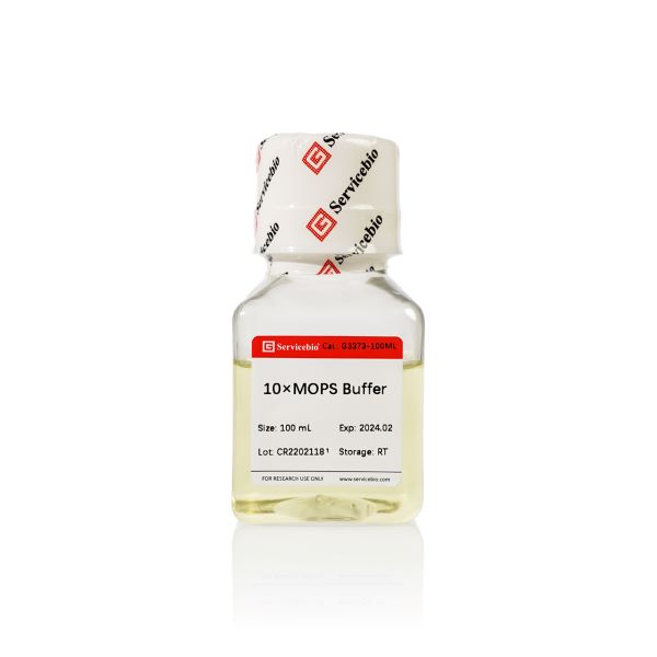 Буфер МОПС (MOPS), 10X, для электрофореза, 100 мл