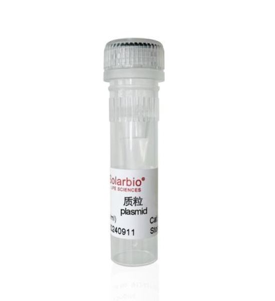 Плазмида PNZ8148, 1 штамм