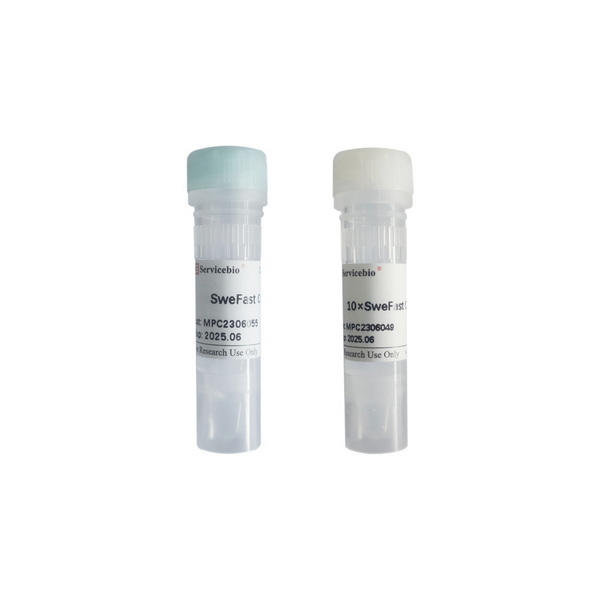 Эндонуклеаза рестрикции SweFast Cut MluI, 100 реакций