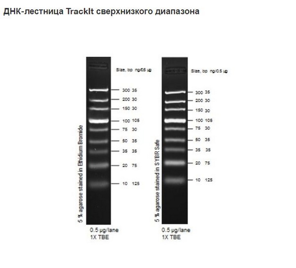 Маркеры мол. массы ДНК, 10-300 п.о., TrackIt Ultra Low Range (9 фрагментов), гот.к исп., 50 мкг