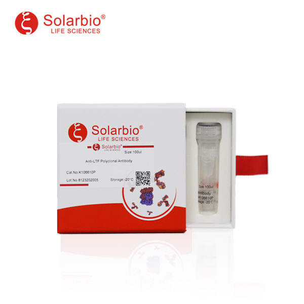 Антитела первичные, поликлональные LTF, 100 мкл