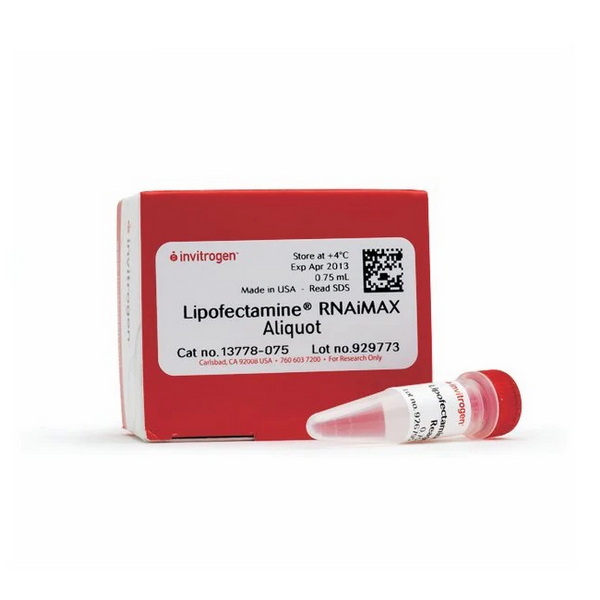 Трансфекционный реагент Lipofectamine RNAiMAX, 0.1 мл