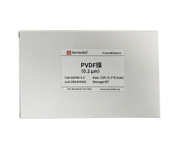 Мембрана для вестерн-блоттинга PVDF, 0.2 мкм, 5.5 х 8.5 см, 10 шт/упак