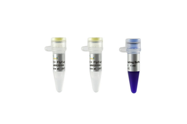 Эндонуклеаза рестрикции FlyCut XbaI, 1500 единиц