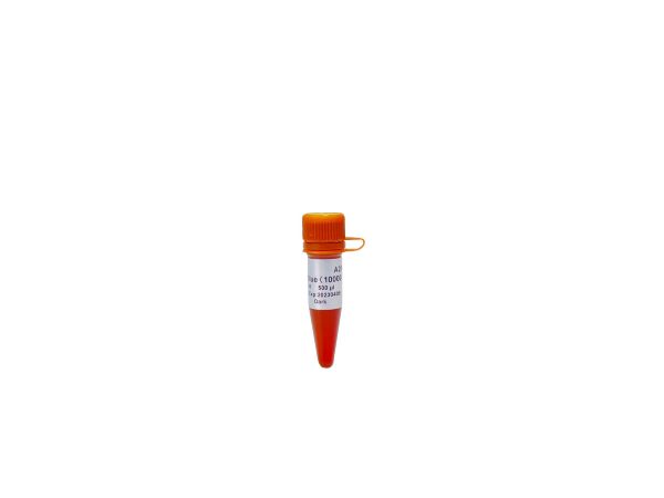 Краситель GelStain Blue для ДНК-гелей, 5×1 мл
