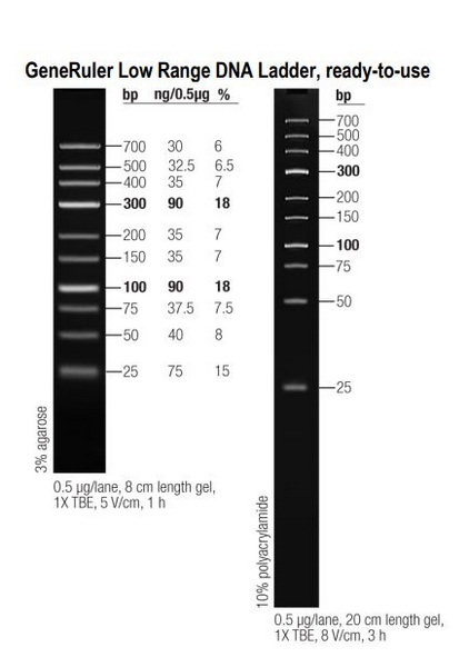 Маркеры молекулярной массы ДНК, 25-700 п.о., GeneRuler Low Range DNA, гот. к исп. (10 фр.), 50 мкг