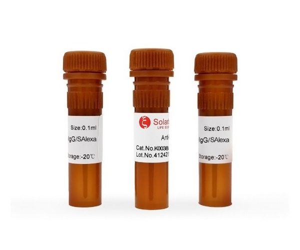 Антитела вторичные, поликлон. IgG, хозяин осел, мишень кролик, Solar (SAlexa) Fluor 350, 100 мкл