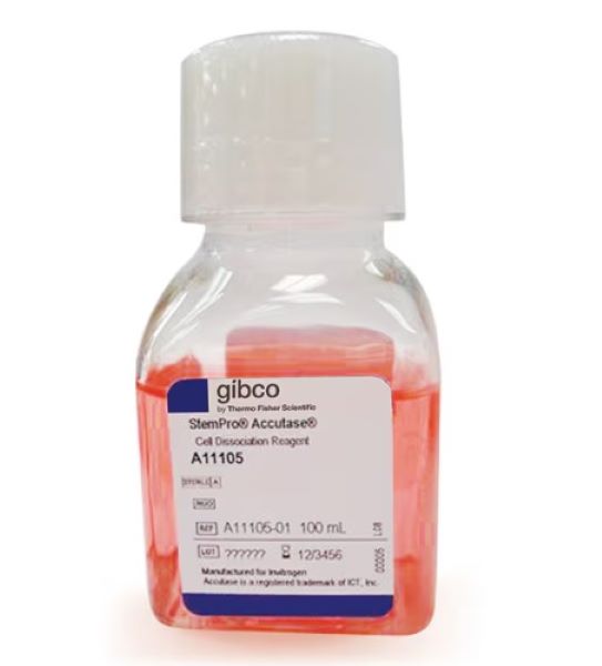 Реагент для диссоциации клеток StemPro Accutase, 100 мл