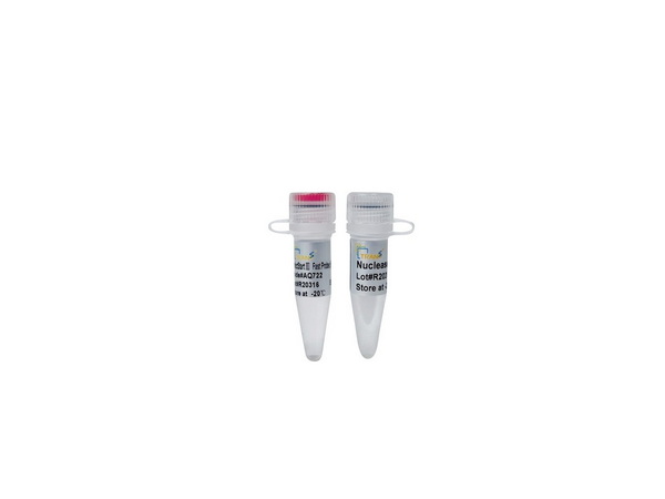 Мастер-микс для быстрой qPCR с зондами PerfectStart III Fast Probe UDG, 15х1 мл