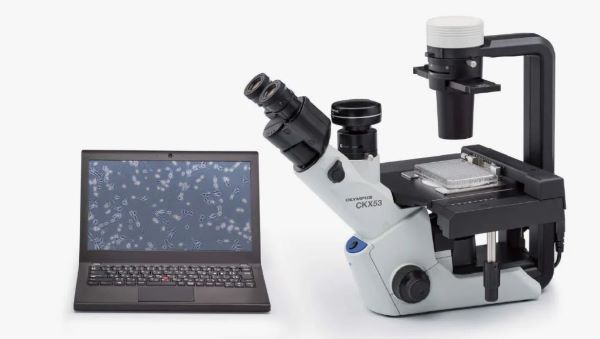 Микроскоп инвертированный Olympus CKX для лабораторных исследований,с принадлежностями, биологич