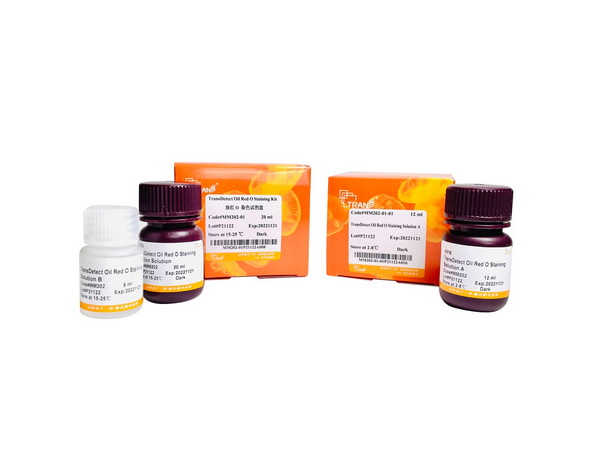 Набор окрашивания масляным красным O TransDetect Oil Red O Staining Kit, 100 мл
