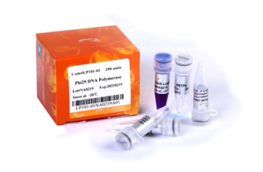 ДНК-полимераза Phi29, 250 единиц