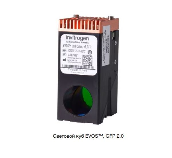 Световой куб EVOS, GFP 2.0, совместим с Countess III FL, M5000, M7000