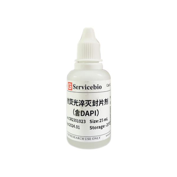 Среда монтирующая Antifade Mounting Medium for Fluorescence (с DAPI), 25 мл