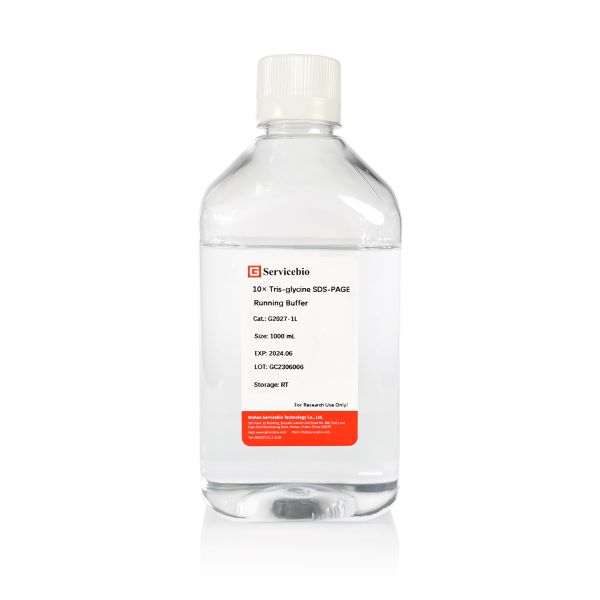 Буфер рабочий трис-глициновый SDS-PAGE, 10X, 1 л