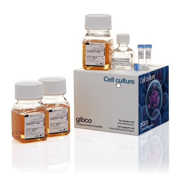 Набор для трансфекции ExpiFectamine CHO, на 1 л культуры
