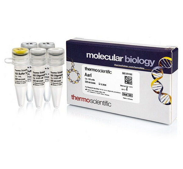 Эндонуклеаза рестрикции AarI, 2 ед/мкл, 125 единиц