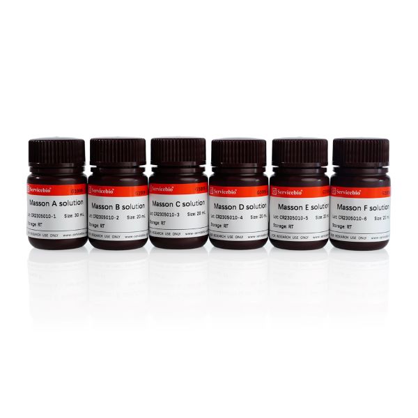 Набор для окрашивания по Массону, 3-цветное окрашивание, 6 х 20 мл