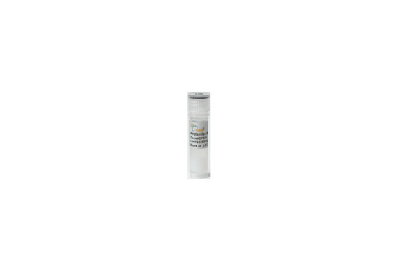 Сорбент для очистки антител ProteinIso Protein A/G Resin, 1 мл