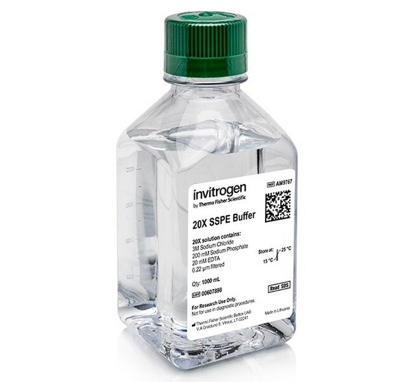Раствор SSPE, 20X, без РНКазы, 1 л