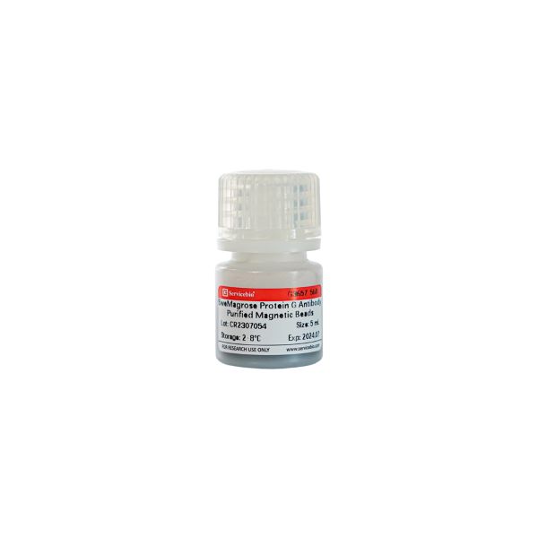 Магнитные шарики для очистки антител SweMagrose Protein G, 5 мл