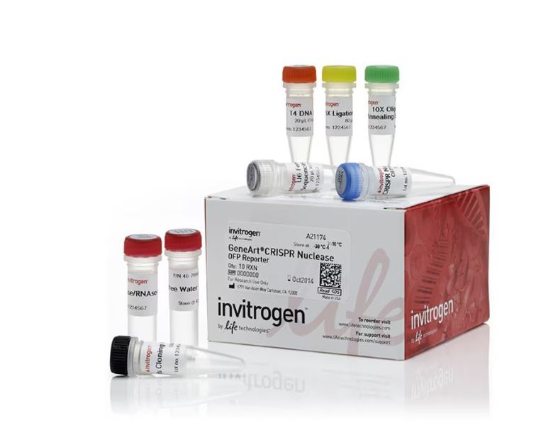 Вектор CRISPR-нуклеазы GeneArt с набором репортеров OFP, 10 реакций